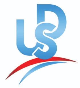 Subway Schools Official Logo